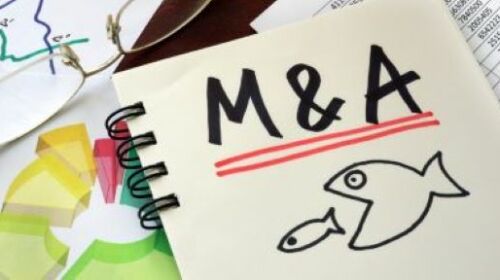 L'acronyme M&A, représenté sous forme de dessin avec un gros poisson, qui mange un plus petit.